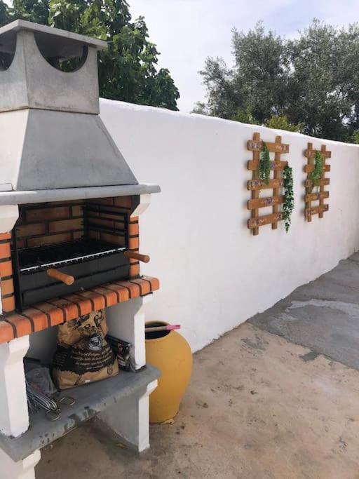 Hébergement de vacances A Casa Do Barqueiro- Alentejo Pedrogao (Baixo Alentejo)