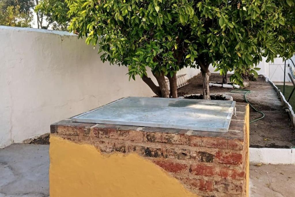 A Casa Do Barqueiro- Alentejo Hébergement de vacances