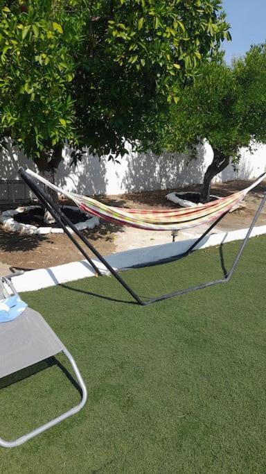 A Casa Do Barqueiro- Alentejo Hébergement de vacances Pedrogao (Baixo Alentejo)