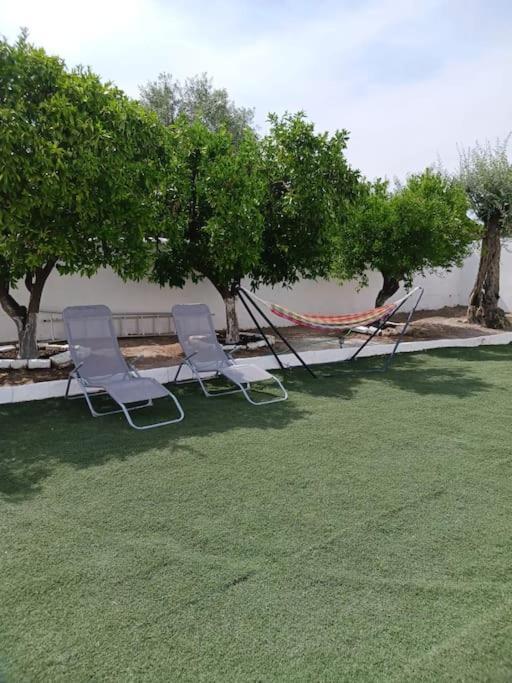 Hébergement de vacances A Casa Do Barqueiro- Alentejo Pedrogao (Baixo Alentejo)