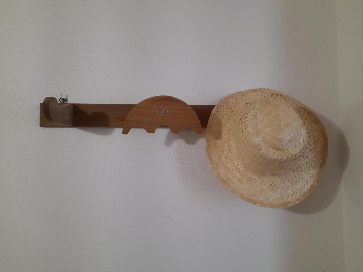 Hébergement de vacances A Casa Do Barqueiro- Alentejo Pedrogao (Baixo Alentejo)